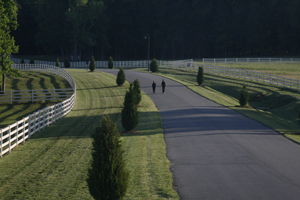 Cheval - South Charlotte’s Newest Luxury Community.